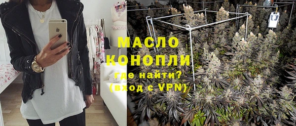 стаф Дмитриев