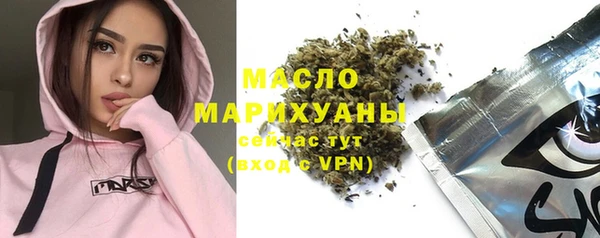 молекула духа Ельня