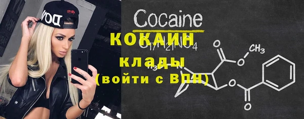 молекула духа Ельня