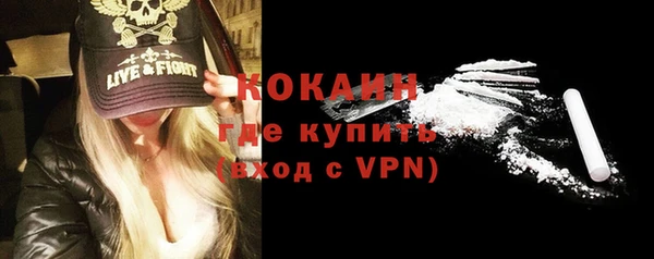 стаф Дмитриев