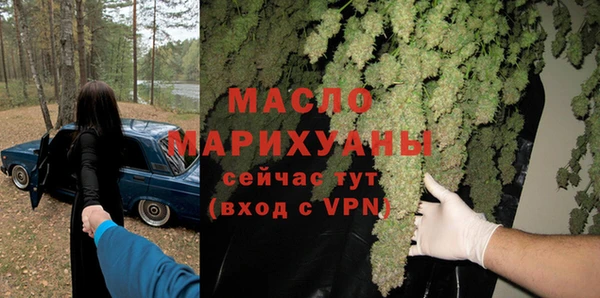 молекула духа Ельня