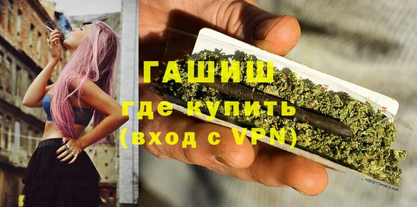 молекула духа Ельня
